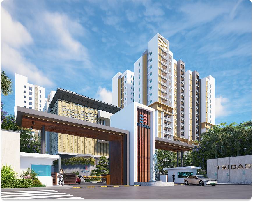 Rise Apartments
