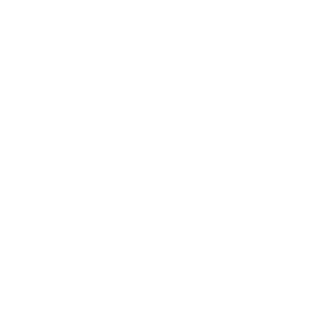 Cricket Net